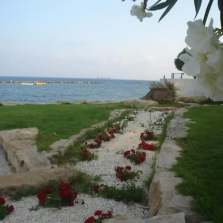 Luxury By The Sea Apartment